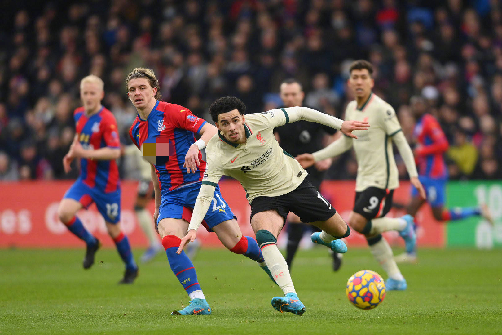 表现的重视 表现的重视